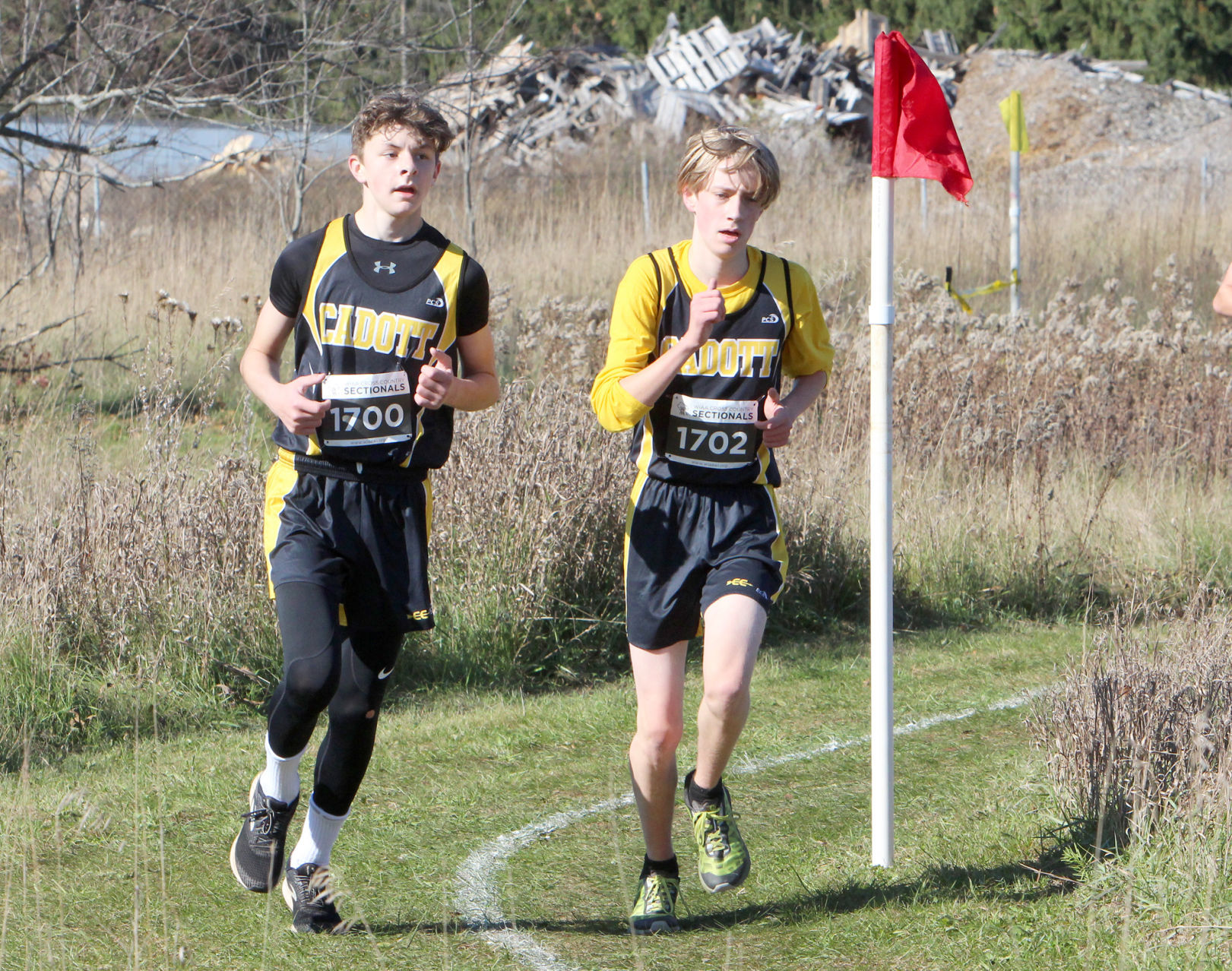 Division 3 Cross Country Sectionals in Boyceville 10-26-19